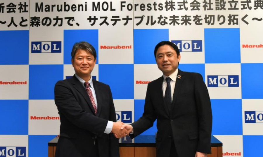 MOL and Marubeni plant seed for carbon credits jv