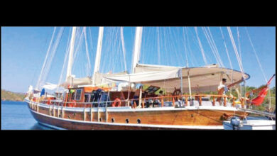 Politicians, red tape thwarted region’s first sail powered luxury cruise ship