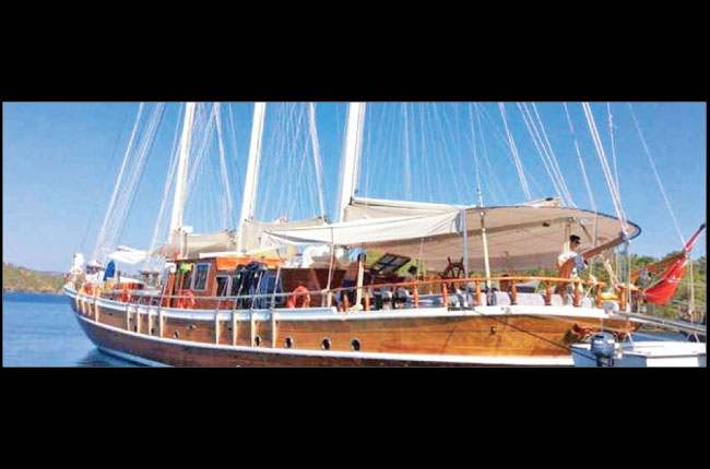 Politicians, red tape thwarted region’s first sail powered luxury cruise ship