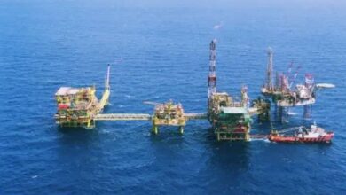 Tanjung Offshore wins services contract from Hibiscus