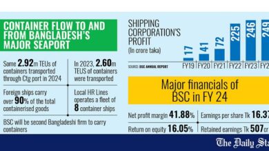 BSC to buy 6 ships for $330m to build container fleet