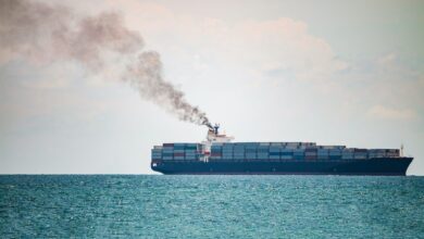 Green Shipping Corridors Face Cost Hurdles Despite Policy Support