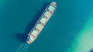 Green strategies for dry bulk shipping