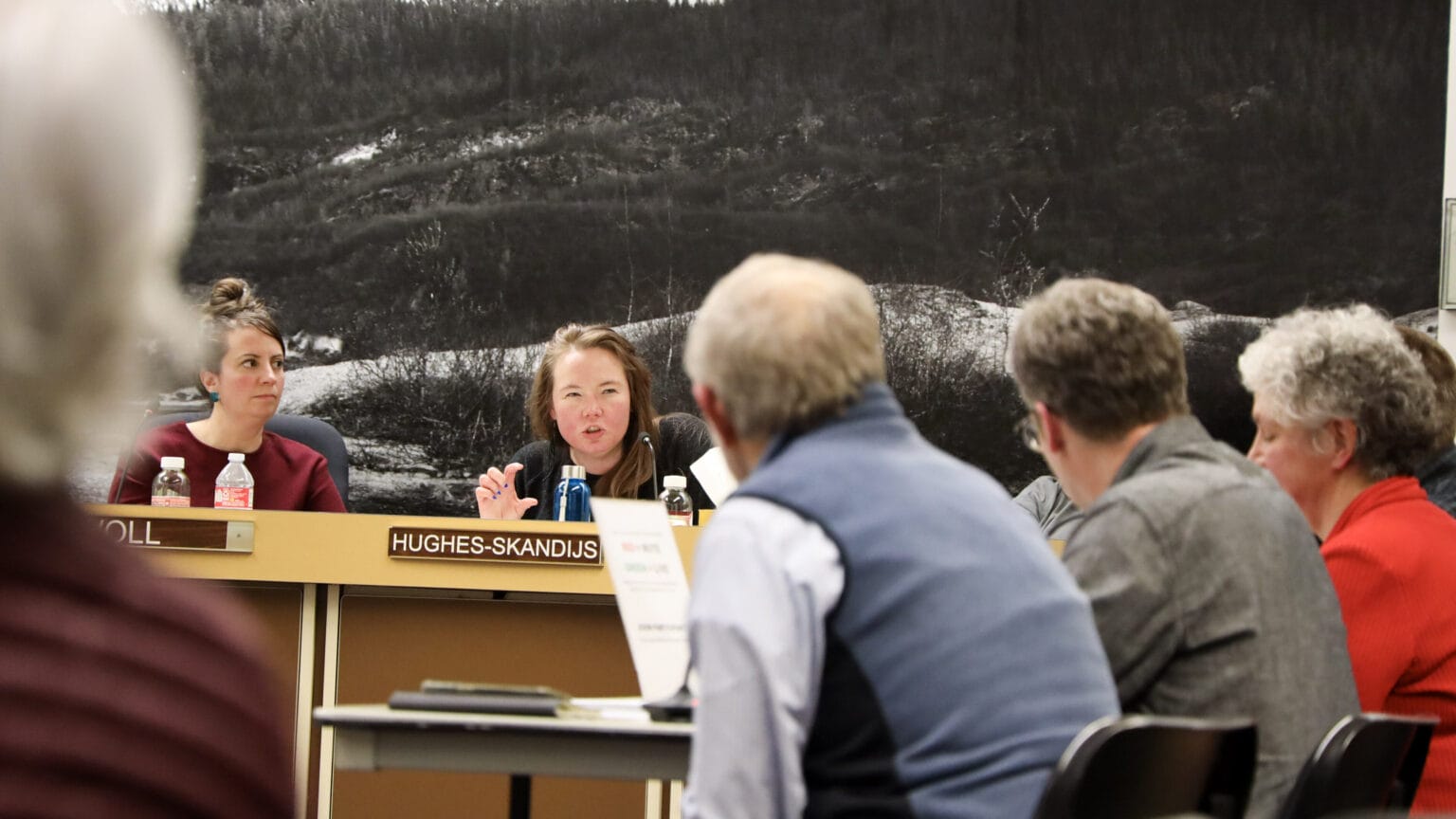 Juneau Assembly nears decision on whether to allow another cruise ship dock