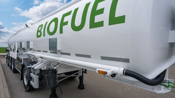 Marine fuels blended with Cashew Nutshell Liquid biofuel