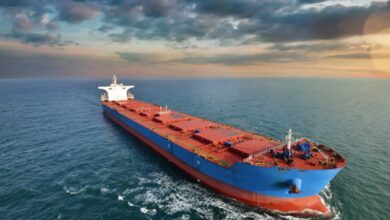 Veson Nautical Sees Bulker Fleet Facing Speed Decline Amid Ageing Tonnage