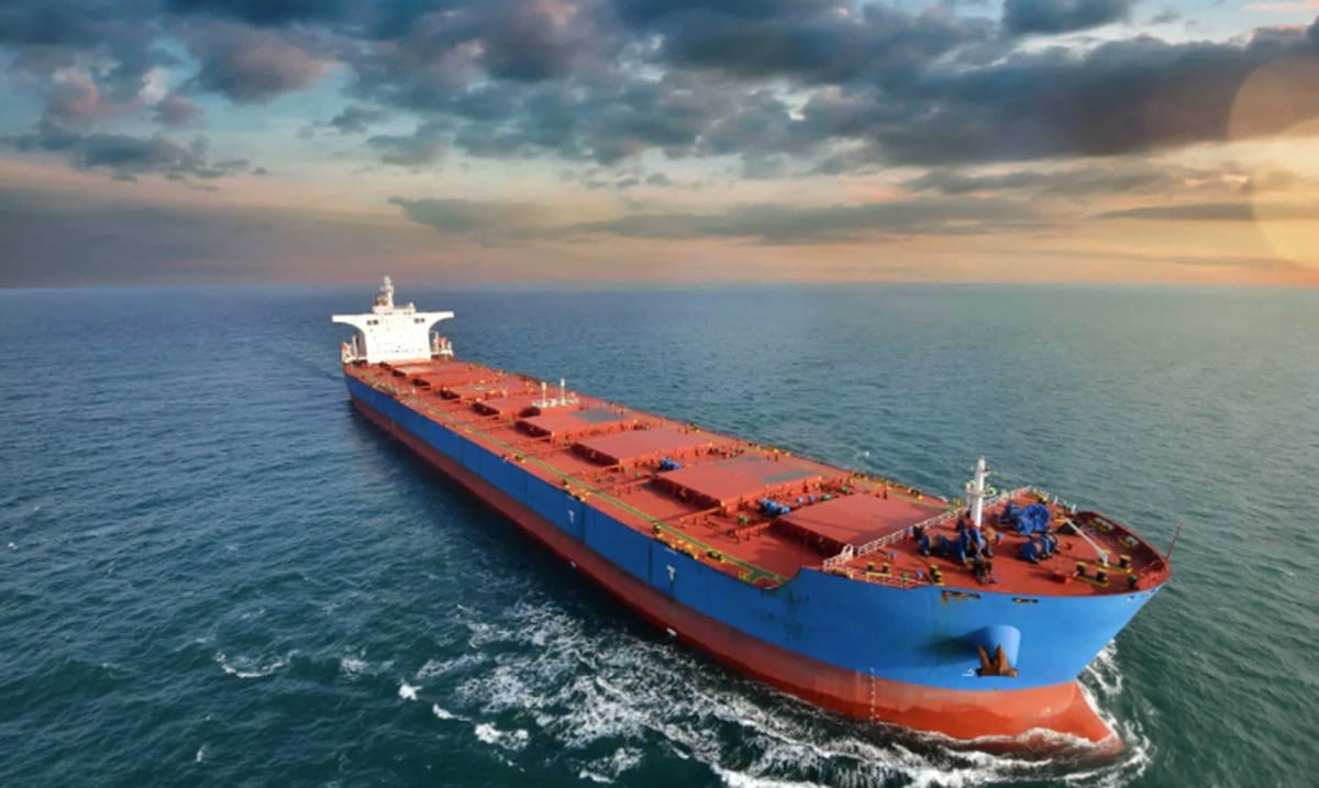 Veson Nautical Sees Bulker Fleet Facing Speed Decline Amid Ageing Tonnage