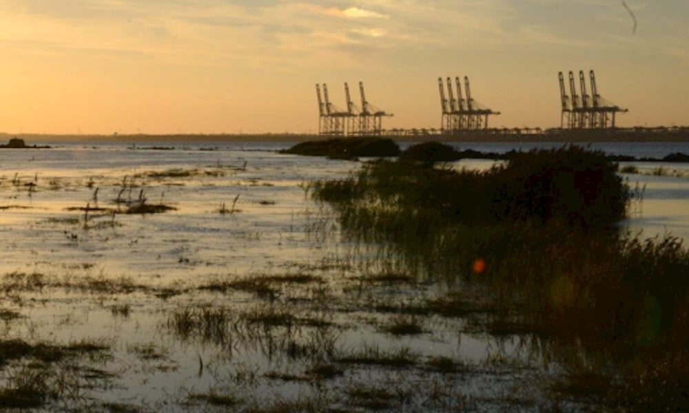 UK to include shipping in its emissions trading scheme from