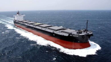 NYK reveals new dry bulk player via triple merger