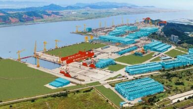 Shandong Ocean Shipping taps Hengli Heavy for bulker pair