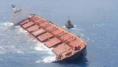 Bulker Safety Improves as Sector Continues Strong Growth
