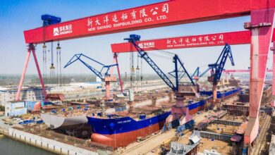 Shanghai Minsheng books feeder duo at New Dayang
