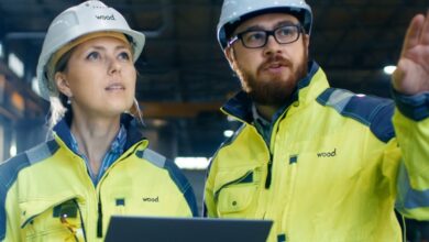 Wood extends Sidara buyout talks once again