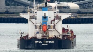 Castor seals $14.6m leaseback for kamsarmax bulker