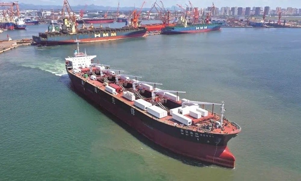 Old panamax bulker gets new life as China's offshore fish