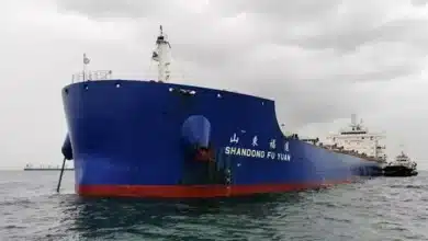 Sale of two Chinese kamsarmaxes spotlights falling bulker