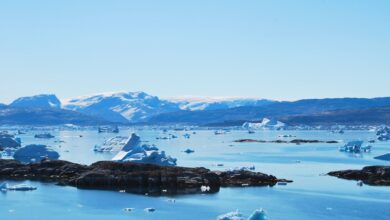 Sea Legend launches China–Europe Arctic container service