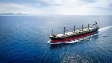 Bulker Loaded with Coal for Israel Becomes Center of