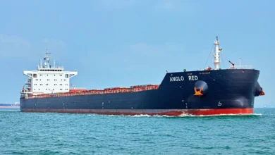 Bull run in rates for panamax bulkers shows small pullback