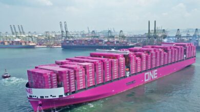Container market sends mixed signals as charter rates hold