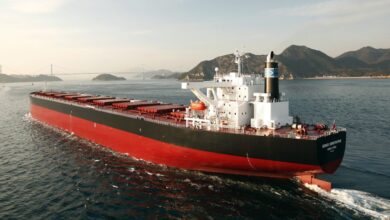 Diana Shipping reaches near 10% stake in Genco