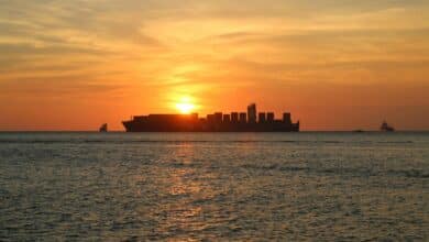 Greek shipowners control one-fifth of world fleet, Cyprus