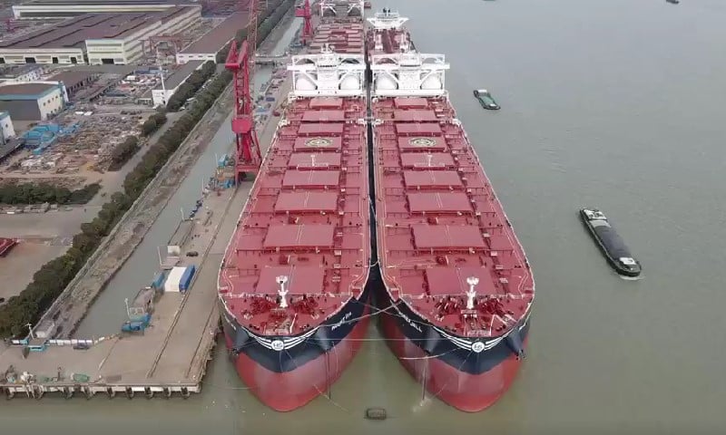 Himalaya switches newcastlemax brace to fixed deals