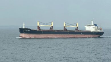 Lianson Fleet adds supramax as it expands beyond offshore