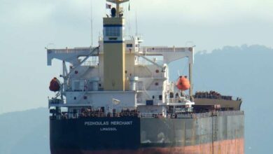 Safe Bulkers completes sale of oldest Kamsarmax vessels