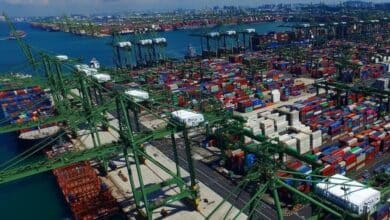 Box handling capacity forecast to record biggest rise this