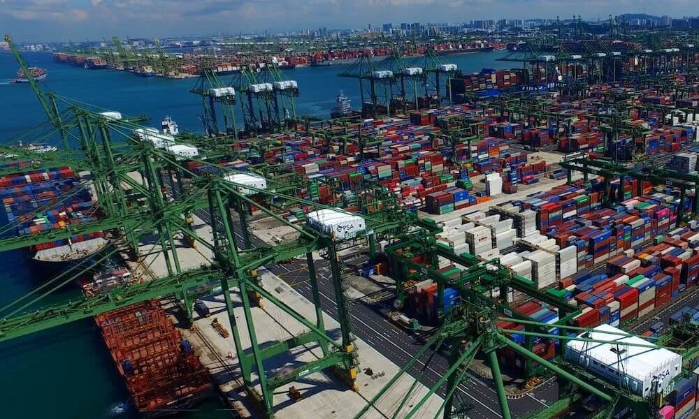 Box handling capacity forecast to record biggest rise this