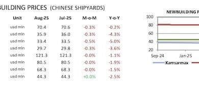 Dry Bulk S&P Market Heats Up