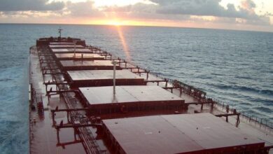 Erasmus Shipinvest makes capesize debut