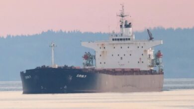 EuroDry sheds 21-year-old panamax - Splash247