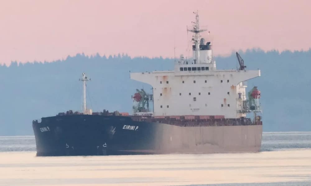 EuroDry sheds 21-year-old panamax - Splash247