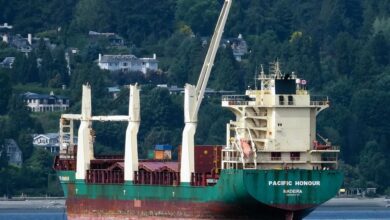 Fujian Highton picks up MPP brace from Braren Roerd