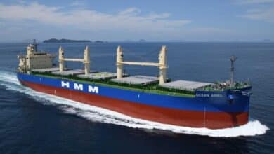 HMM Continues Growing Dry Bulk as Part of Diversification