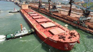 HMM signs 430 bln-won shipping deal with Brazil's Vale