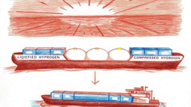 IMO’s Interim Safety Guidelines Propel Maritime