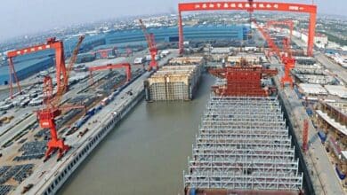Minerva Marine firms up feeder options at Yangzijiang