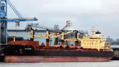 Ukrainian shipowner makes S&P comeback with Star Bulk deal