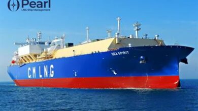 Wärtsilä Lifecycle Agreement will provide support to 14 LNG