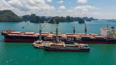 Diana Shipping boosts liquidity with m secured term loan