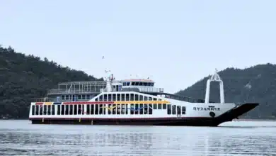 Indian Register of Shipping Announces Successful Delivery of Deck Cargo Ship HAITENG 007 in China