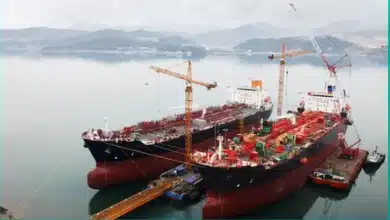 Lloyd’s Register Partners with DYNAMARINe for STS Audits