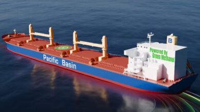 Pacific Basin shifting half of bulker fleet to Singapore to