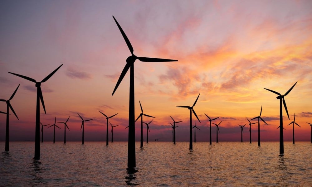 Developers shun Dutch 1GW offshore wind auction