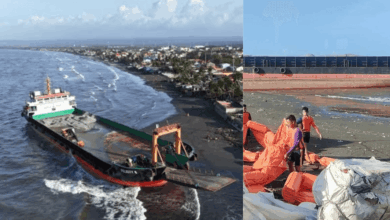 FELICITY_8_65351104c0