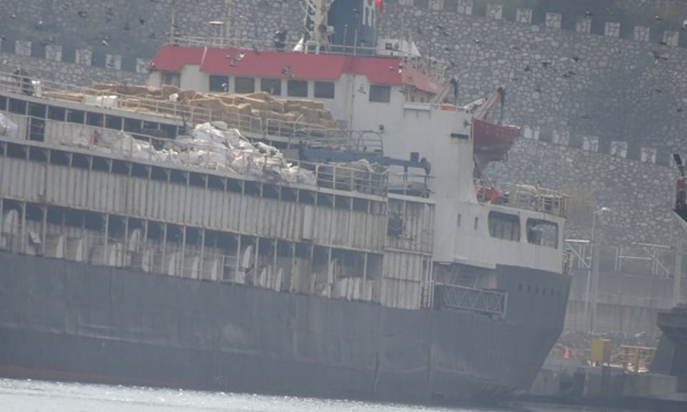 Live Animal Export: It’s 2025, why are hairy seafarers