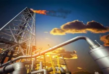 Scientists Urge Caution on Biofuels at COP30